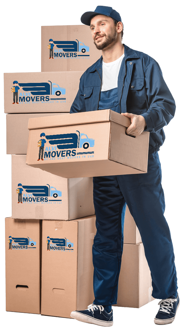 handsome-alvi mover team member-in-uniform-carrying-cardboard-box